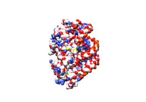 AttentionSiteDTI: an interpretable graph-based model for drug-target interaction prediction using NLP sentence-level relation classification