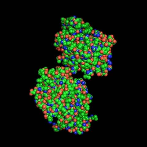 FragXsiteDTI: Revealing Responsible Segments in Drug-Target Interaction with Transformer-Driven Interpretation