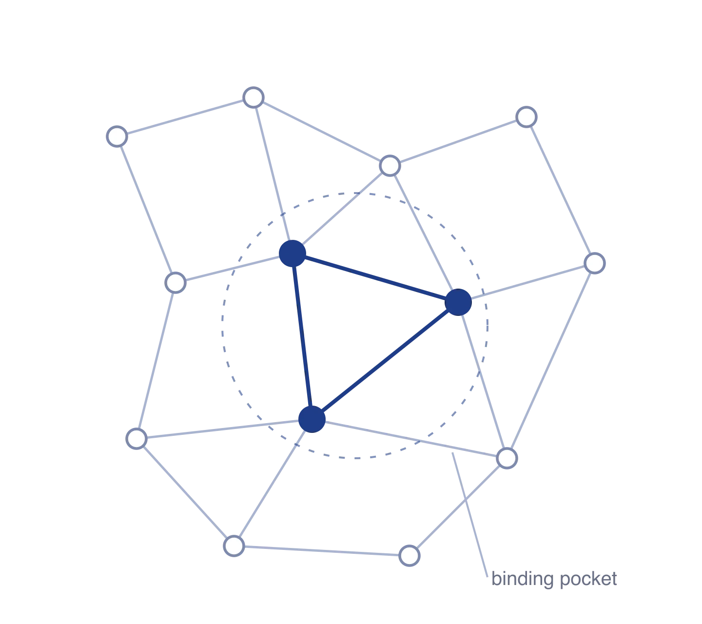 Line drawing of a protein binding-site graph with highlighted attention nodes