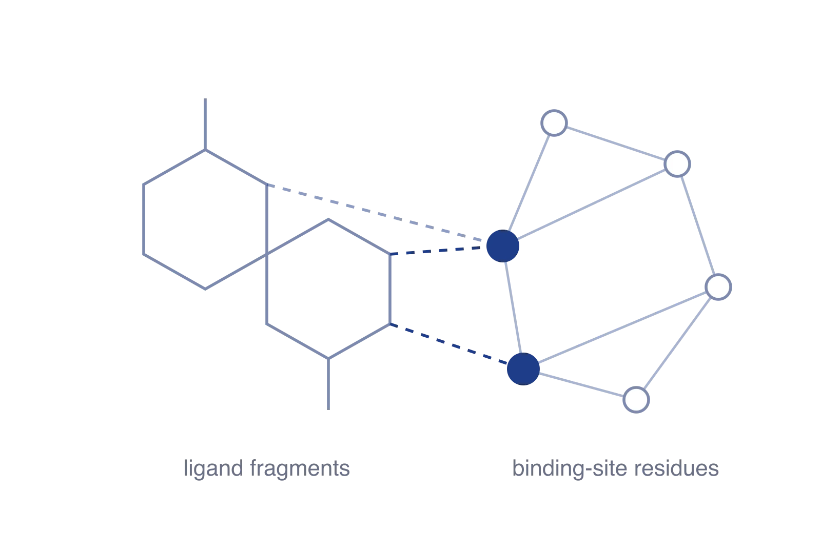 Cross-attention between ligand fragments and binding-site residues makes each prediction inspectable.